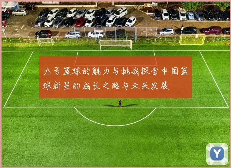 九号篮球的魅力与挑战探索中国篮球新星的成长之路与未来发展