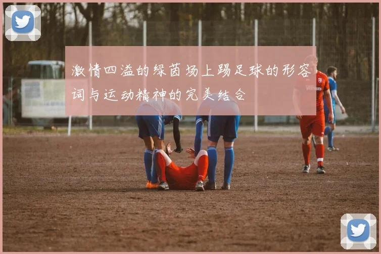 激情四溢的绿茵场上踢足球的形容词与运动精神的完美结合