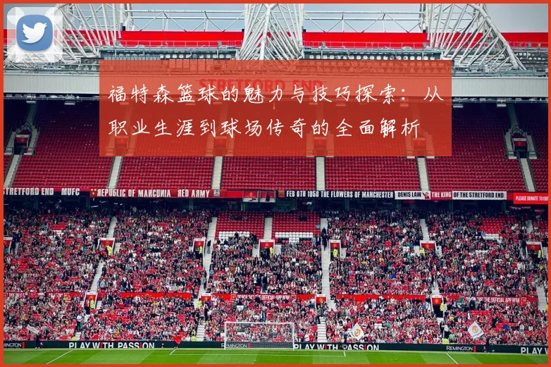 福特森篮球的魅力与技巧探索：从职业生涯到球场传奇的全面解析